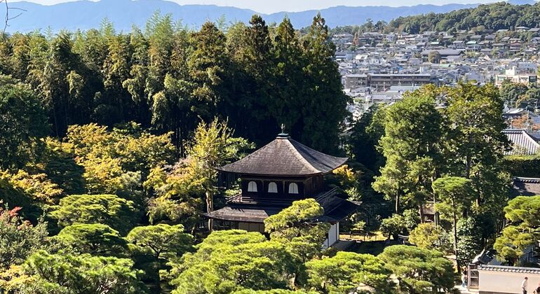 Tour grupal por Kioto Japón &mdash; #7
