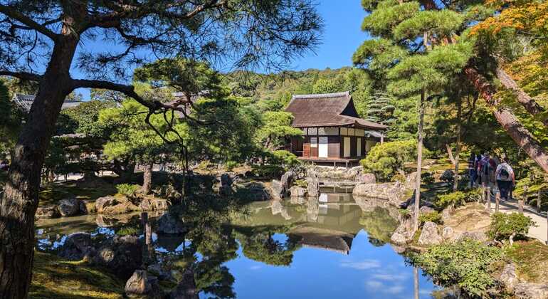 Tour grupal por Kioto Japón &mdash; #6