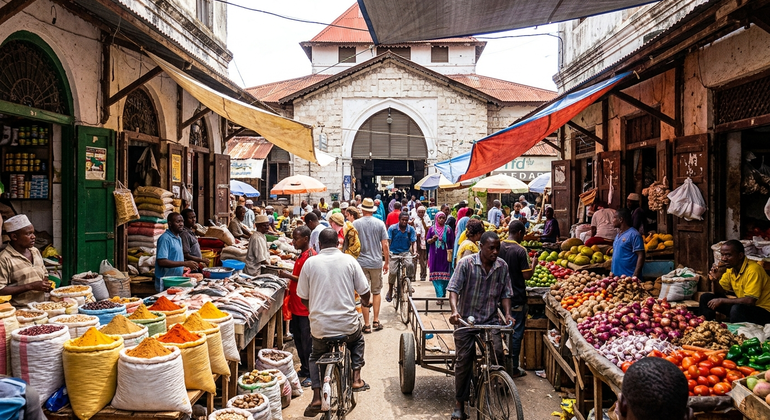 Visite à pied de Stone Town Zanzibar : Histoire, culture et vie locale  Tanzanie &mdash; #5
