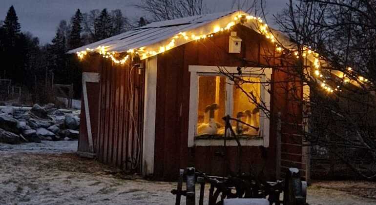 Grand Eidsvoll Farm Jumping E-Bike Tour Operado por OSLPlan