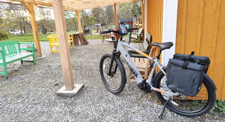 Passeio de bicicleta eléctrica com saltos na quinta de Eidsvoll global.countries. &mdash; #2