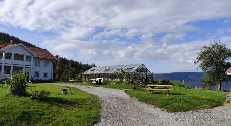 Passeio de bicicleta eléctrica com saltos na quinta de Eidsvoll global.countries. &mdash; #7