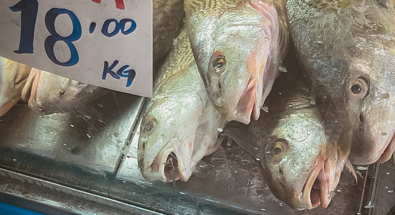 florianopolis-free-food-tasting-tour-en-11