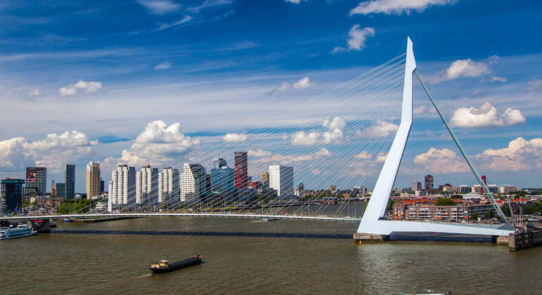 Audio Self-Guided App: Rotterdam City Tour Netherlands &mdash; #4