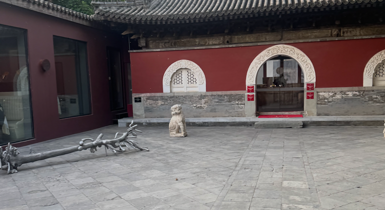 Visita guiada gratuita por Pekín como un auténtico local: los hutongs y la gastronomía local China &mdash; #14
