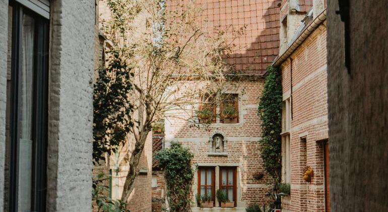 private-tour-of-mechelen-the-former-capital-of-the-netherlands-es-4