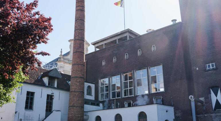 private-tour-of-mechelen-the-former-capital-of-the-netherlands-es-5