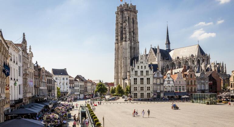 Private Tour of Mechelen: the Old Capital of the Netherlands Provided by Matias