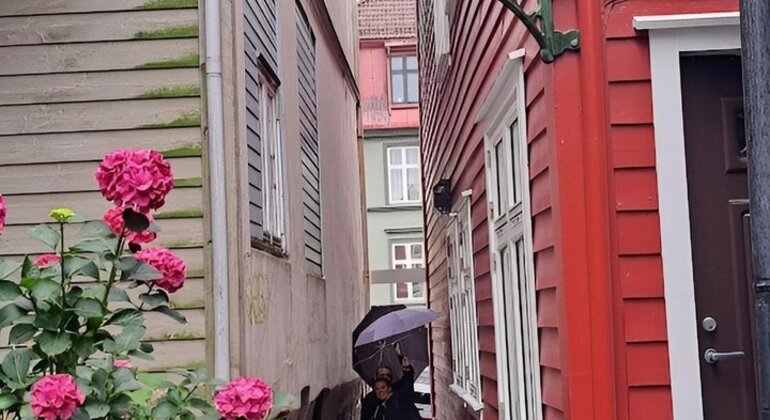 free-tour-bergen-through-the-eyes-of-a-local-en-1