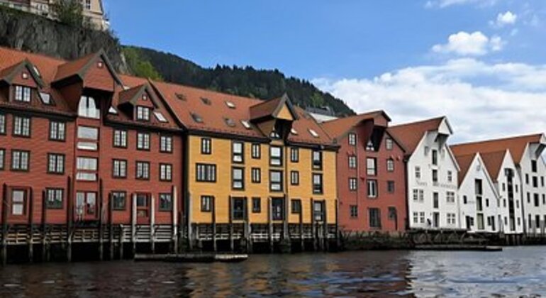 free-tour-bergen-through-the-eyes-of-a-local-en-3