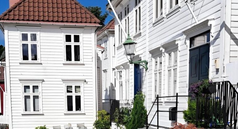 free-tour-bergen-through-the-eyes-of-a-local-en-4