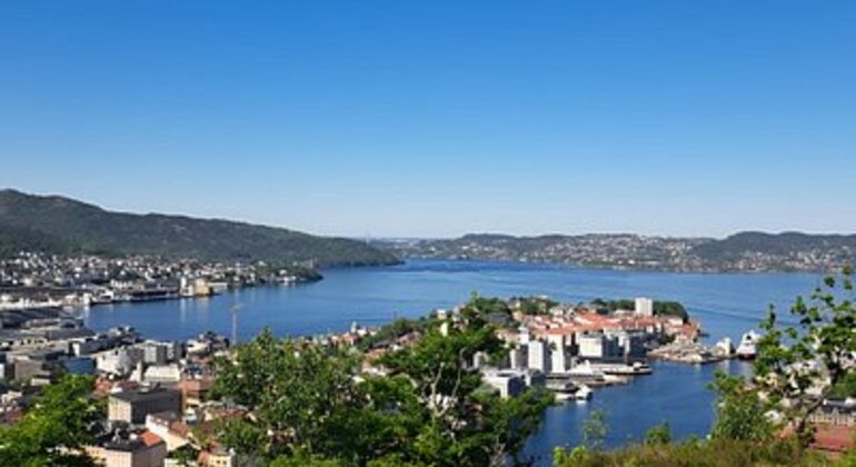 free-tour-bergen-through-the-eyes-of-a-local-en-5
