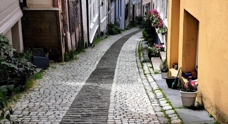 free-tour-bergen-through-the-eyes-of-a-local-en-8