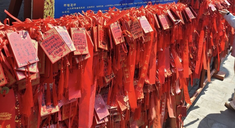 Beijing Walking Tour: Forbidden City Panorama, Taoism & Hutong Culture China &mdash; #11