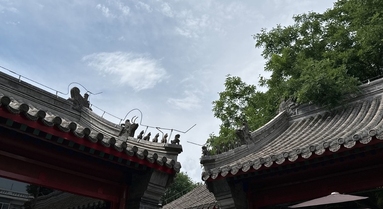 Beijing Walking Tour: Forbidden City Panorama, Taoism & Hutong Culture China &mdash; #12