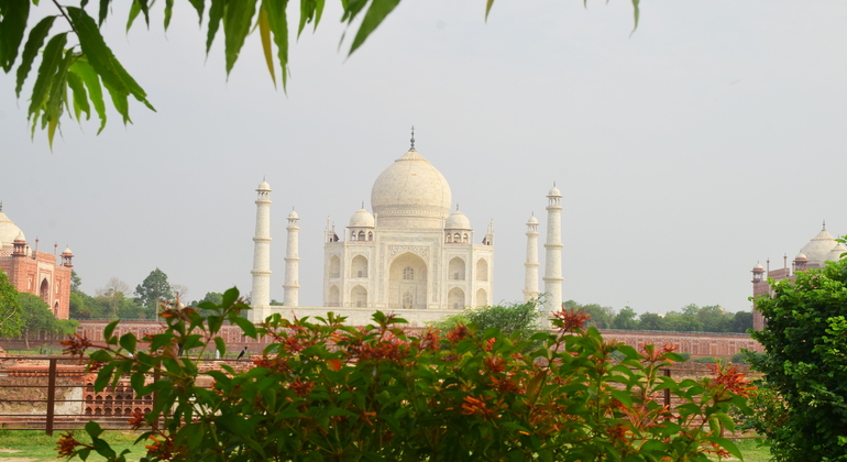 Taj Mahal Sunrise Tour India &mdash; #4