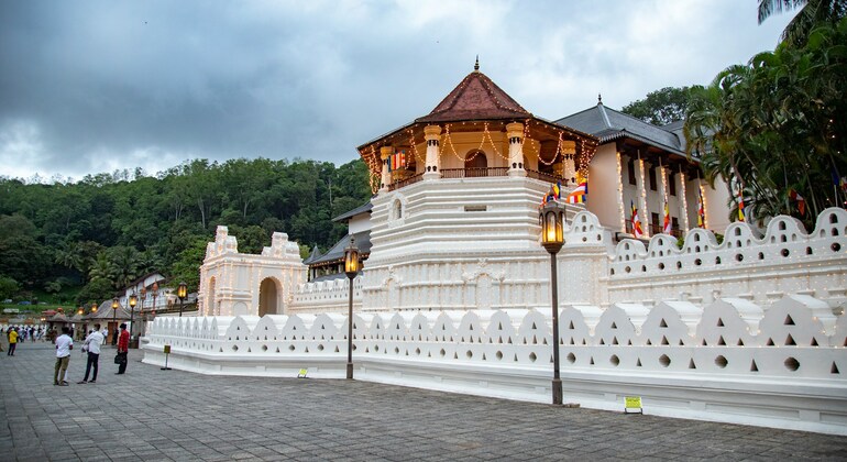 Tour gratuito alla scoperta di Kandy Fornito da Shamika Prasad