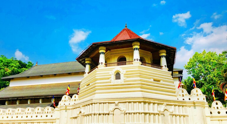 Tour gratuito alla scoperta di Kandy Sri Lanka &mdash; #2