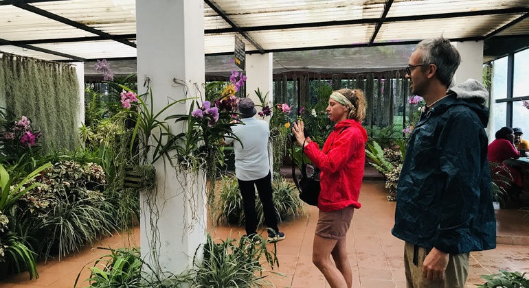 Tour gratuito alla scoperta di Kandy Sri Lanka &mdash; #12