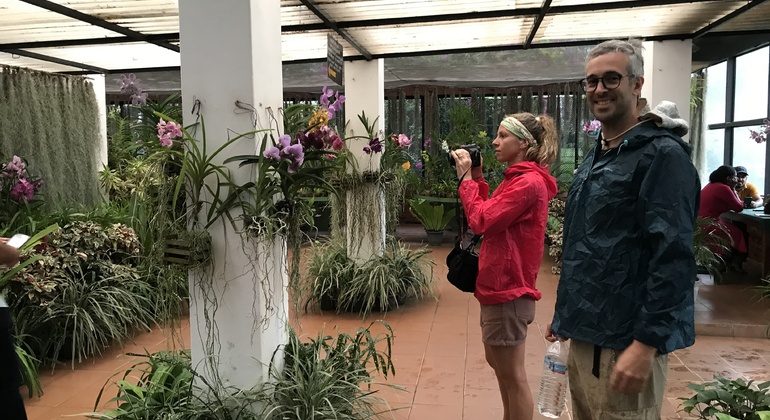 Tour gratuito alla scoperta di Kandy Sri Lanka &mdash; #15