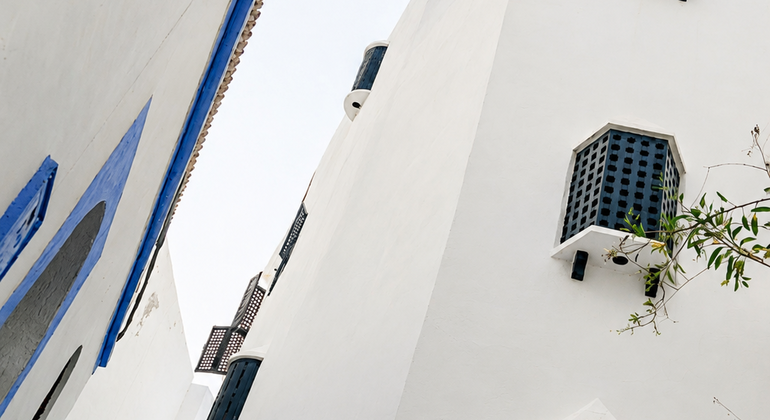 with-a-certified-guide-asilah-the-atlantic-gem-of-art-and-history-en-19