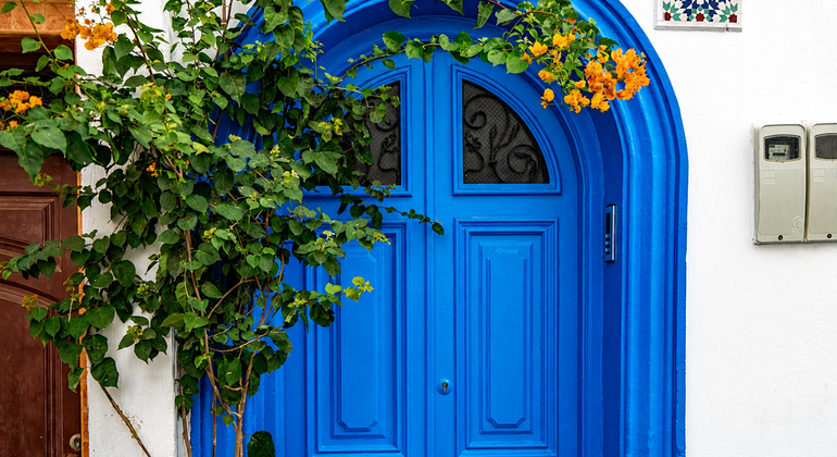 with-a-certified-guide-asilah-the-atlantic-gem-of-art-and-history-en-21