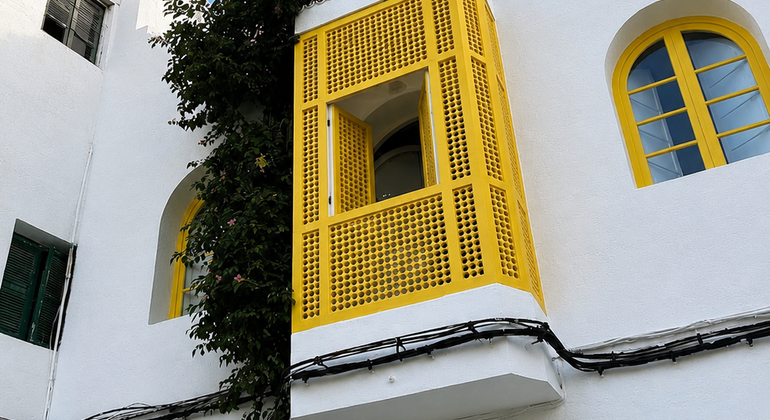 with-a-certified-guide-asilah-the-atlantic-gem-of-art-and-history-en-22