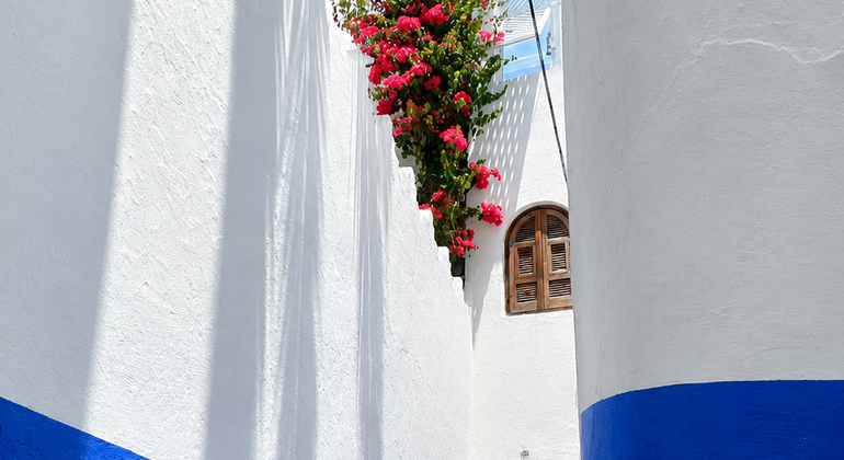 with-a-certified-guide-asilah-the-atlantic-gem-of-art-and-history-en-30