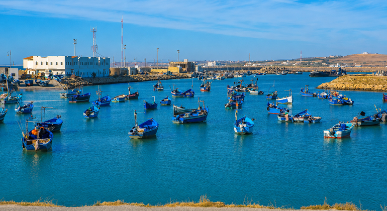 with-a-certified-guide-asilah-the-atlantic-gem-of-art-and-history-en-42
