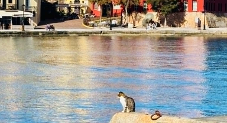 Chania: Old Town Walk with Tastings, Culture & Stories Greece &mdash; #7
