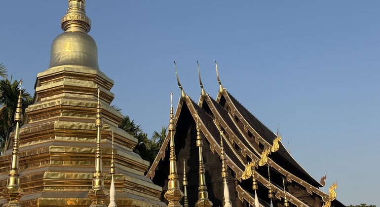 hidden-temples-local-life-in-chiang-mai-es-3
