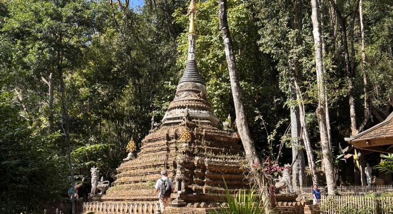 hidden-temples-local-life-in-chiang-mai-es-7