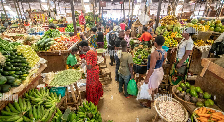 Kigali City Free Tour: Top View  Provided by JESH Hassan