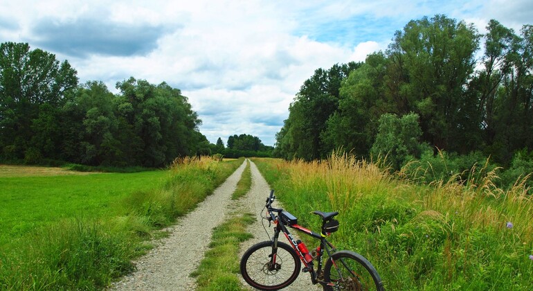 cycling-the-amazon-of-europe-drava-river-bike-adventure-en-1