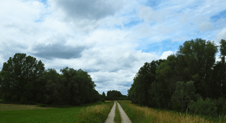cycling-the-amazon-of-europe-drava-river-bike-adventure-en-6