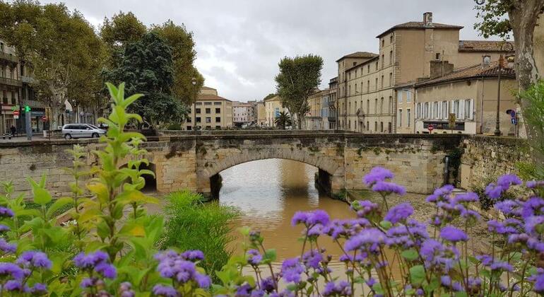 Die beste kostenlose Stadtführung in Narbonne Frankreich &mdash; #4