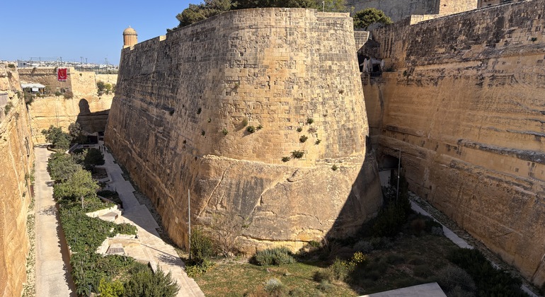 Valletta Top Tour: Including Grand Palace & Co-Cathedral Malta &mdash; #8