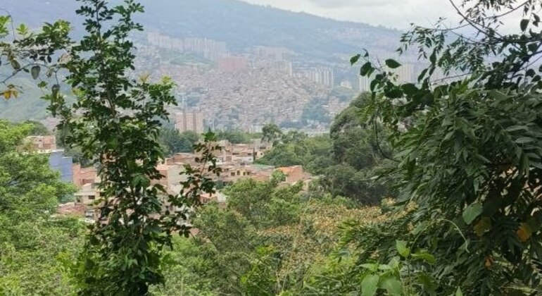 Comuna Autentica Tour: Beyond the Tourist Perspective Colombia &mdash; #3