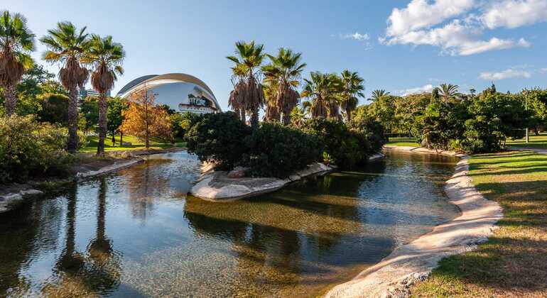 Modern Valencia: The City beyond the Old Town Spain &mdash; #3