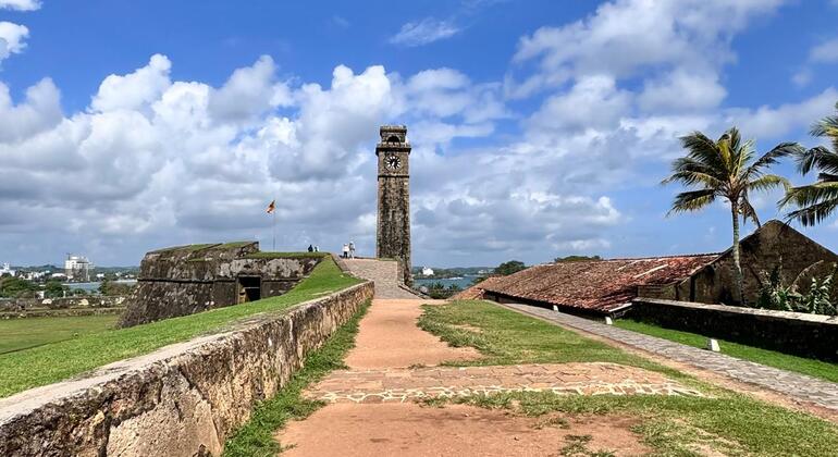 Excursión de un día a Galle y la costa sur desde Colombo: cultura, naturaleza y mar 