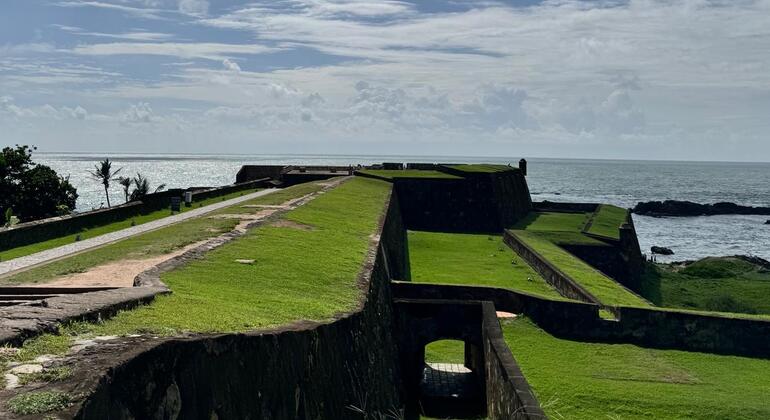 galle-south-coast-day-tour-from-colombo-culture-nature-ocean-en-2