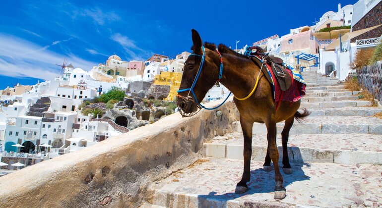 free-walking-tour-of-fira-caldera-views-local-stories-hidden-spots-en-5