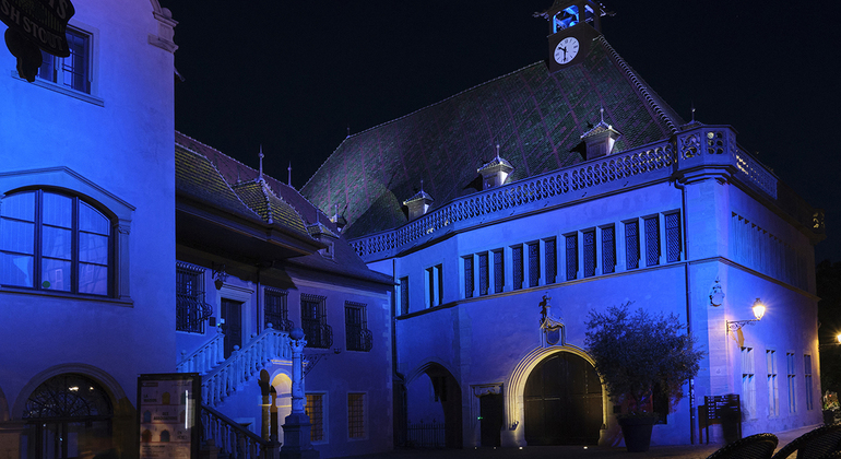 Colmar at Night: A City of Lights and Reflections France &mdash; #7
