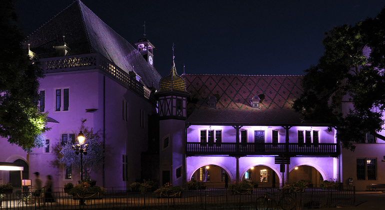 Colmar at Night: A City of Lights and Reflections France &mdash; #9