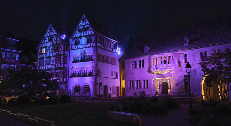 Colmar at Night: A City of Lights and Reflections France &mdash; #15