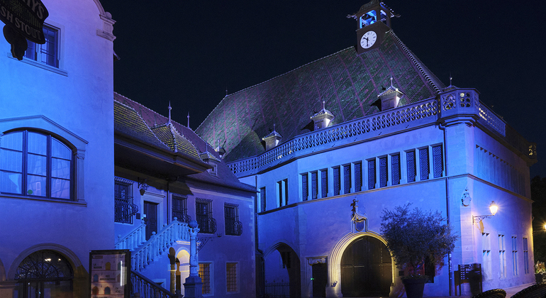 colmar-at-night-a-city-of-lights-and-reflections-es-15