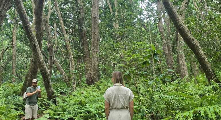 Excursion d'une journée complète : la forêt de Jozani, la grotte de Salaam et la plage de Kendwa, avec déjeuner Tanzanie &mdash; #14