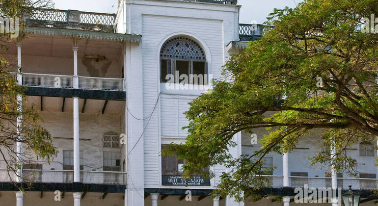 Stone Town Walking Tour with Shopping Time Tanzania &mdash; #10