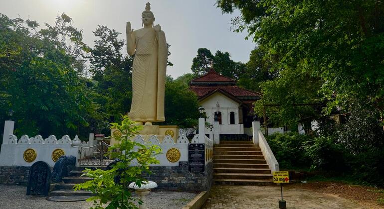Verborgene Tempel und Dschungelgipfel: Halbtagestour nach Gampaha