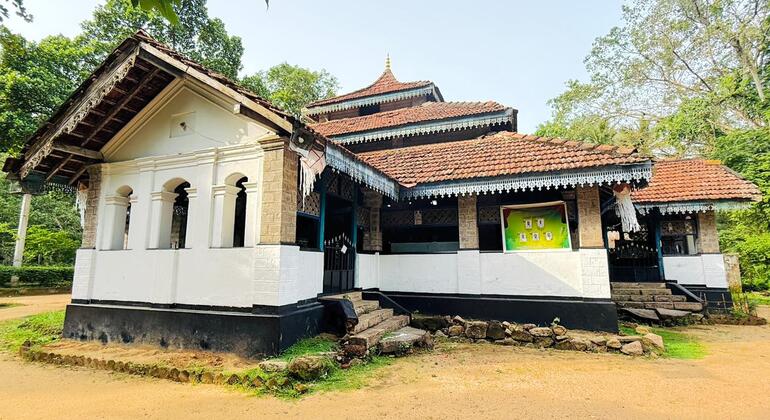 Verborgene Tempel und Dschungelgipfel: Halbtagestour nach Gampaha Sri Lanka &mdash; #3